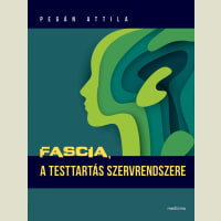 Fascia, a testtartás szervrendszere